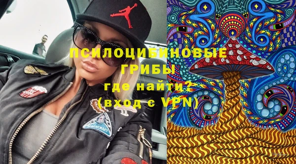 трава Беломорск
