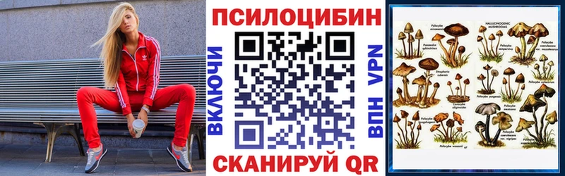 Галлюциногенные грибы Magic Shrooms Купить закладки Мезень
